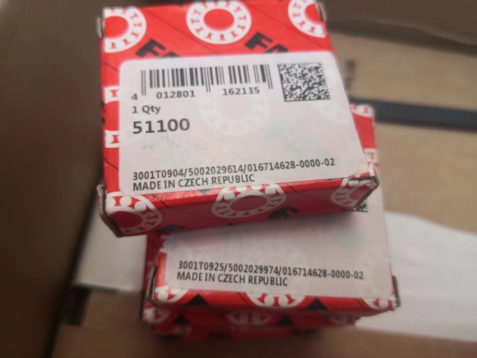FAG 51100
